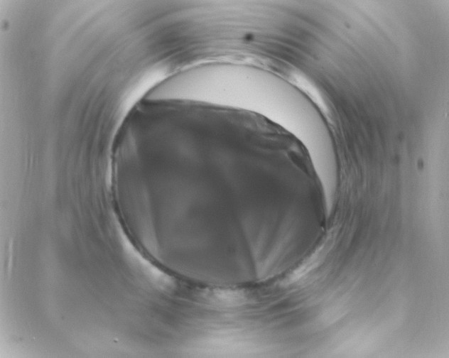 X0000088141095200705291352