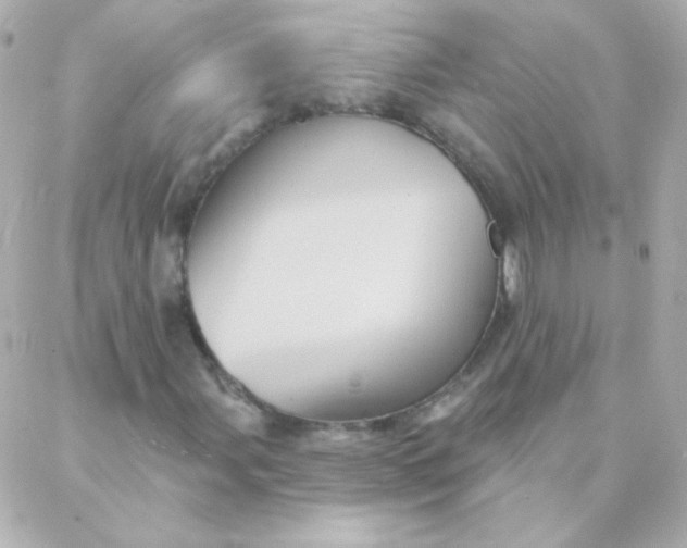 X0000088141107200705291351