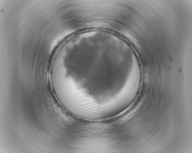 X0000088141117200705291351