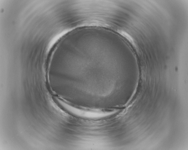 X0000088141120200705291351