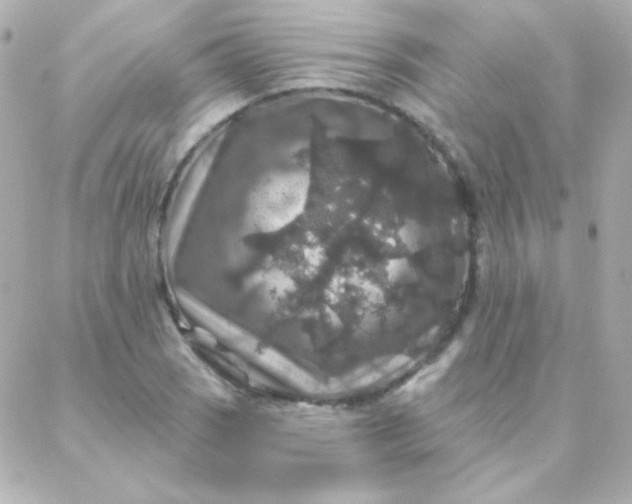 X0000088141121200705291351
