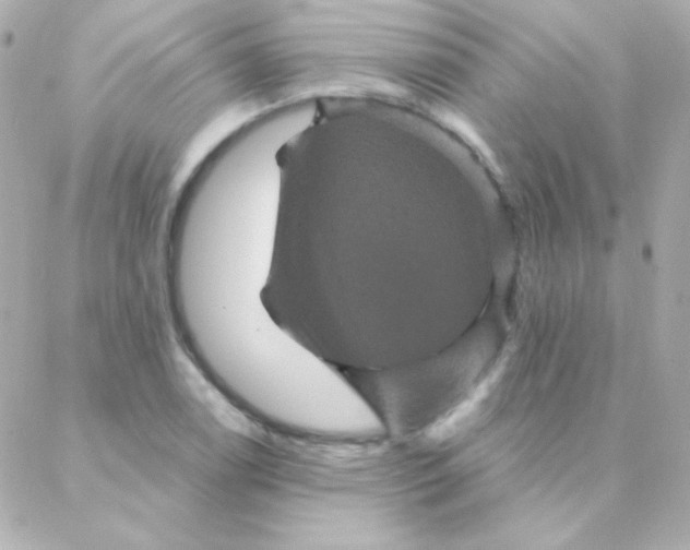 X0000088141122200705291351