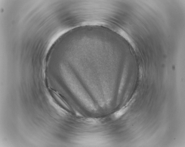 X0000088141124200705291351