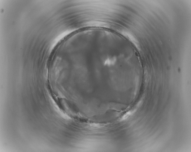 X0000088141125200705291351