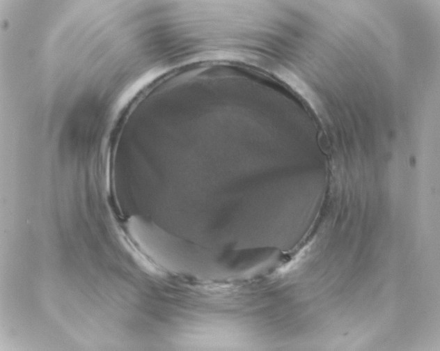 X0000088141127200705291351