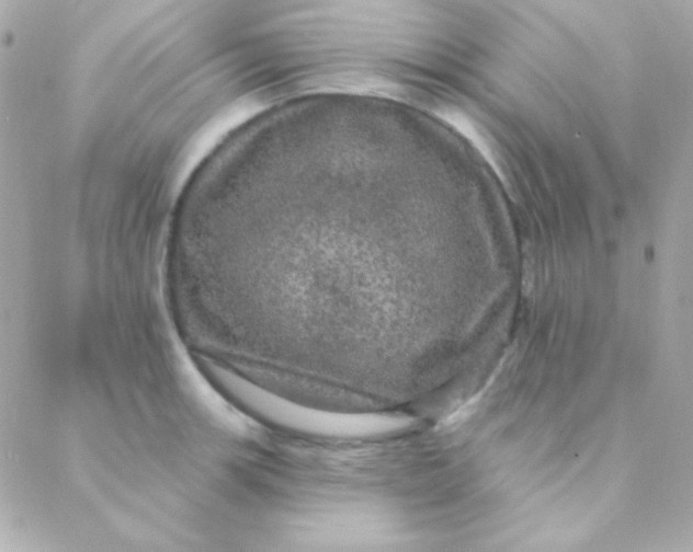 X0000088141139200705291351