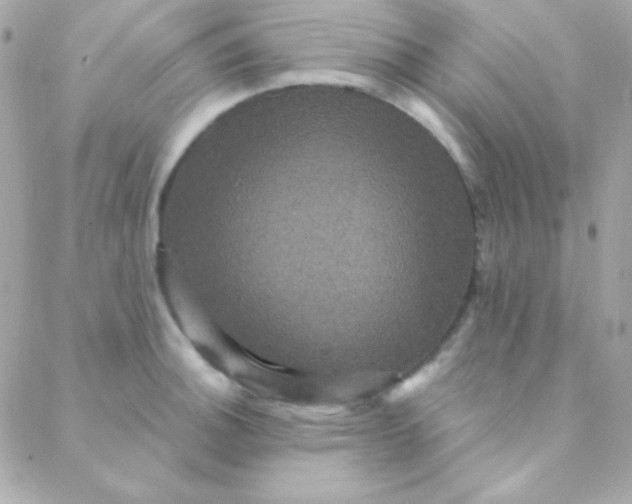 X0000088141140200705291351