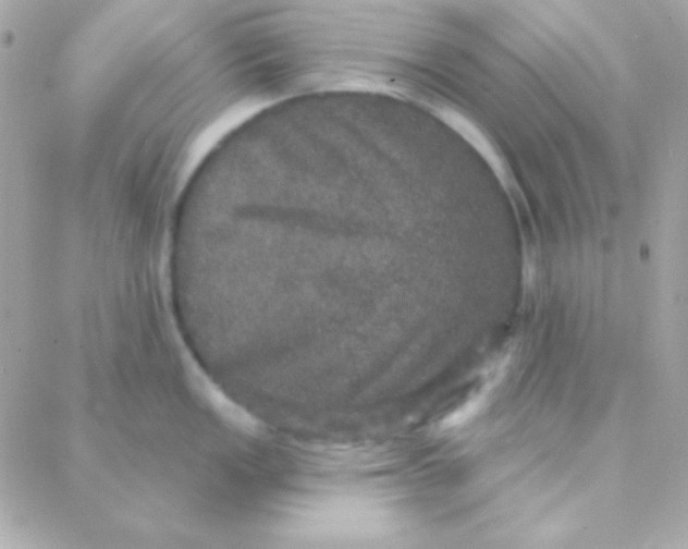X0000088141149200705291351