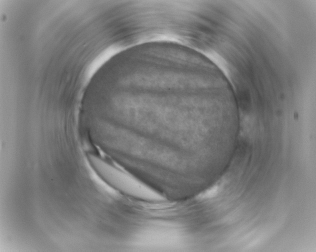 X0000088141151200705291351