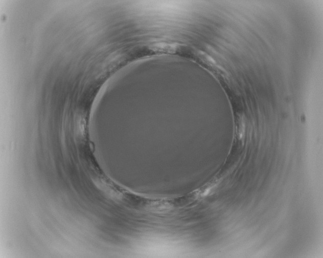 X0000088141154200705291351