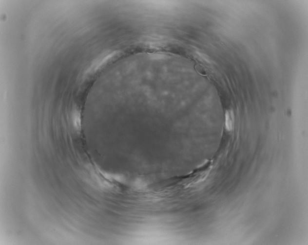 X0000088141155200705291351