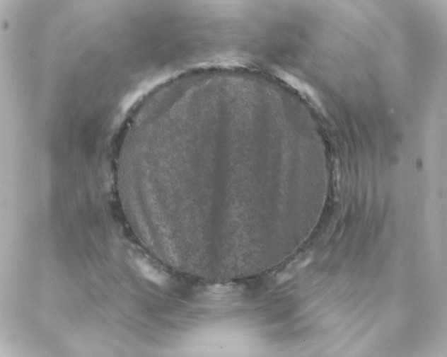 X0000088141160200705291350