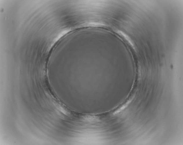 X0000088141170200705291350