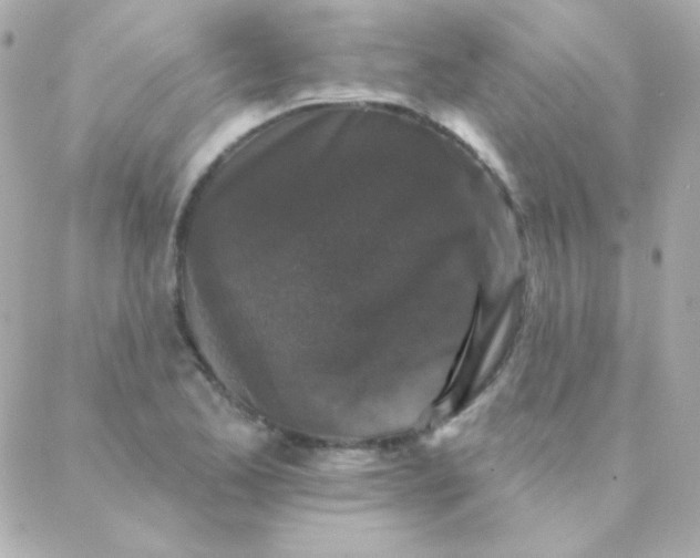 X0000088141173200705291350