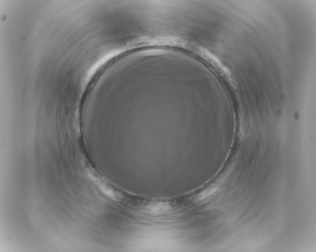 X0000088141174200705291350