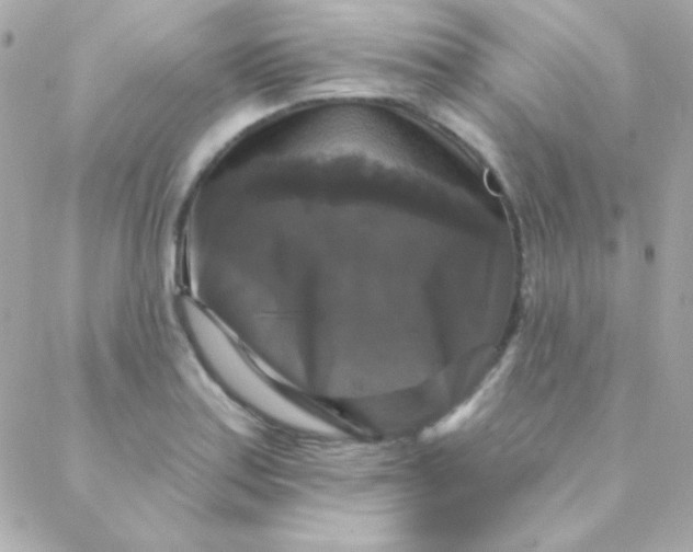 X0000088141179200705291350