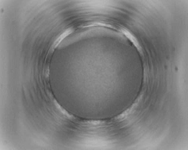 X0000088141193200705291350