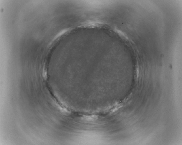 X0000088141206200705291349