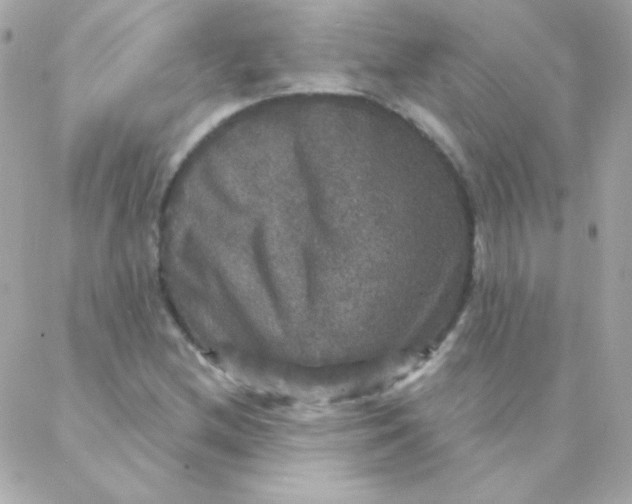 X0000088141212200705291349