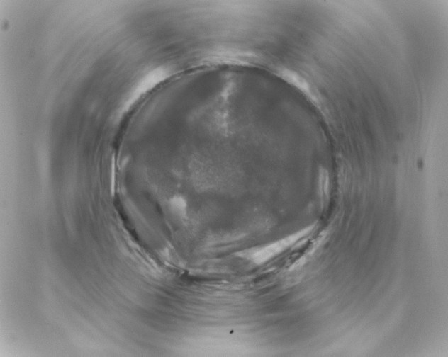 X0000088141219200705291349