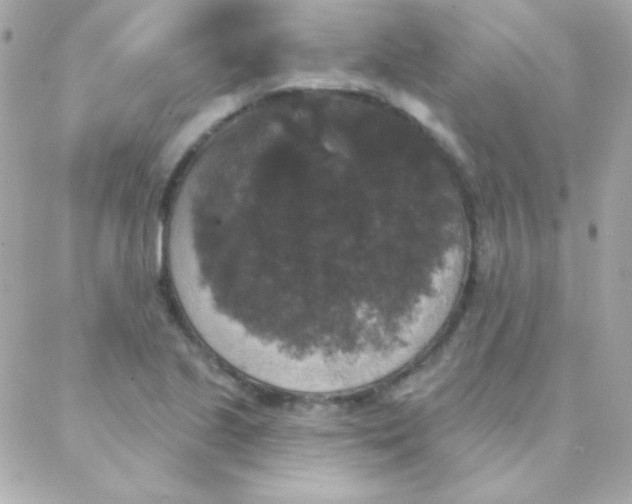 X0000088141221200705291349