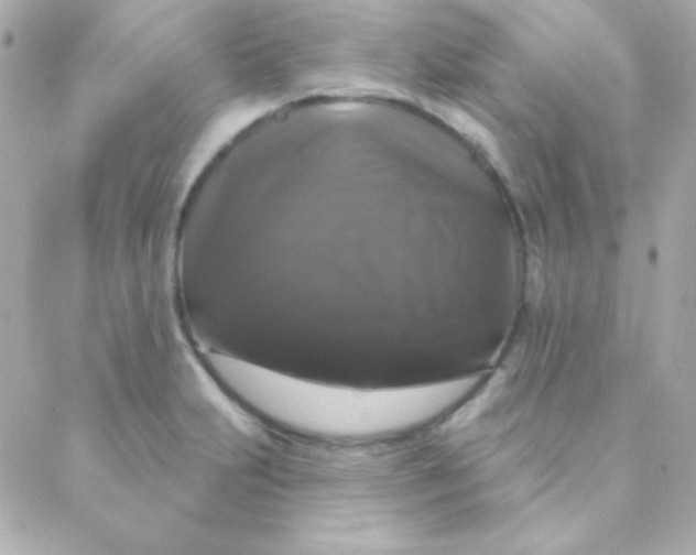 X0000088141231200705291350