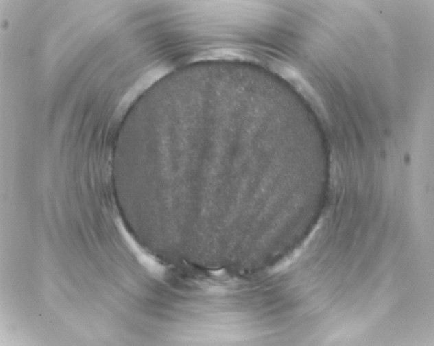X0000088141233200705291350