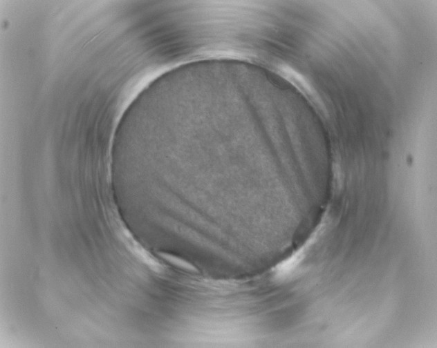 X0000088141236200705291350