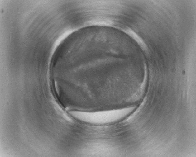 X0000088141240200705291350
