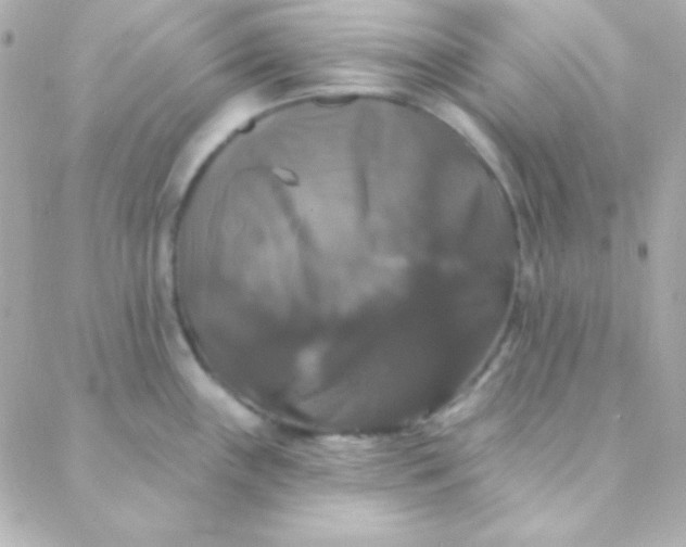 X0000088141243200705291350