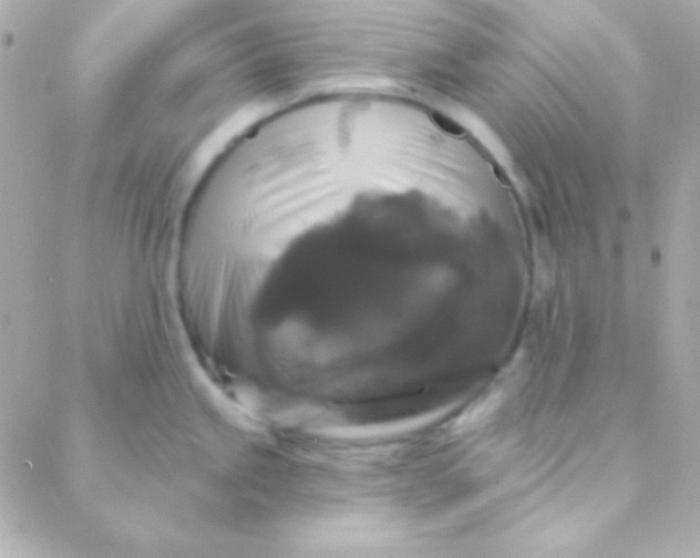 X0000088141245200705291350