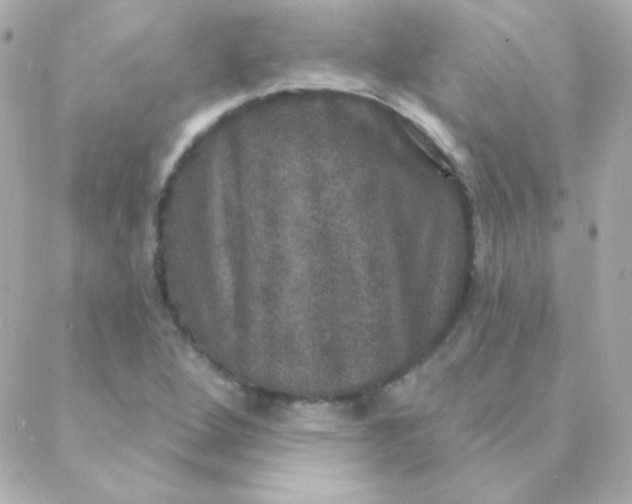 X0000088141264200705291349