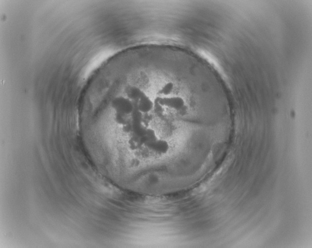 X0000088141267200705291349