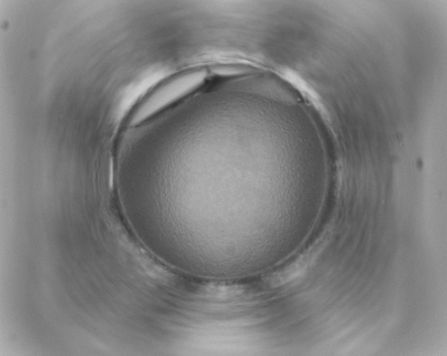 X0000088141269200705291349