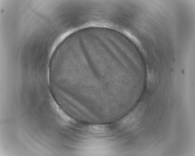 X0000088141272200705291349