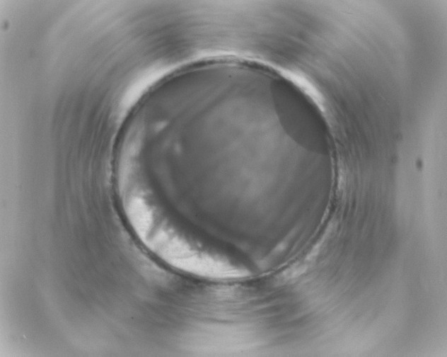 X0000088141279200705291349
