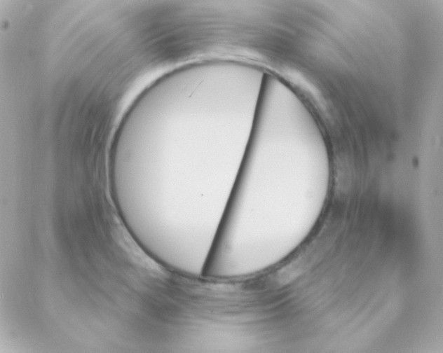 X0000088141280200705291349