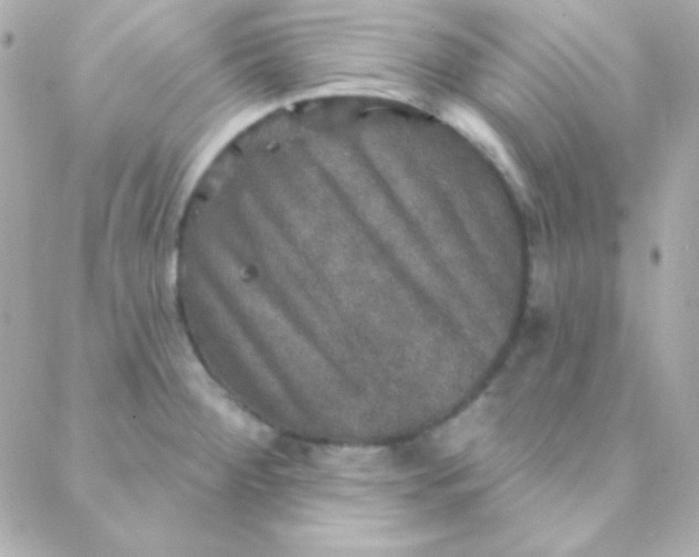 X0000088141284200705291348