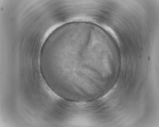 X0000088141288200705291348