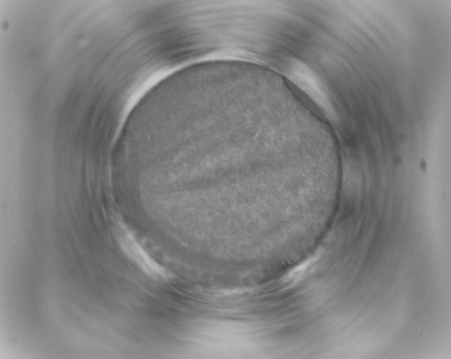 X0000088141292200705291348