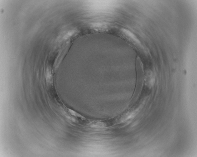X0000088141298200705291348
