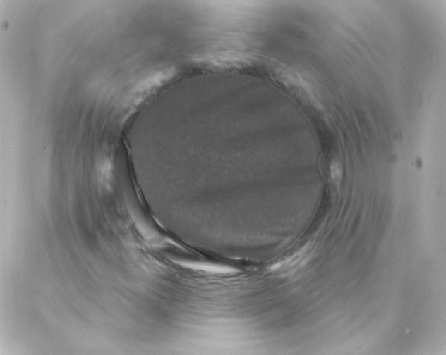 X0000088141300200705291348