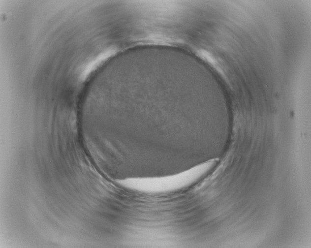 X0000088141307200705291348