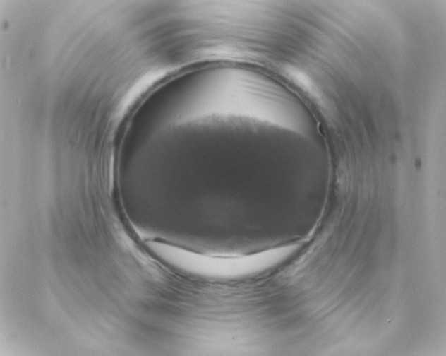 X0000088141323200705291348