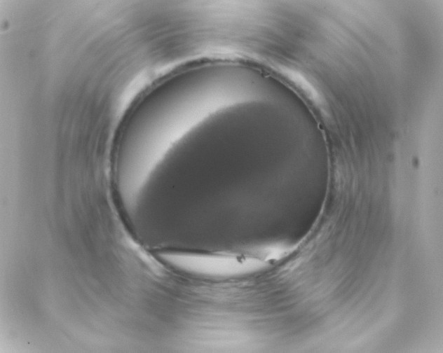 X0000088141327200705291348