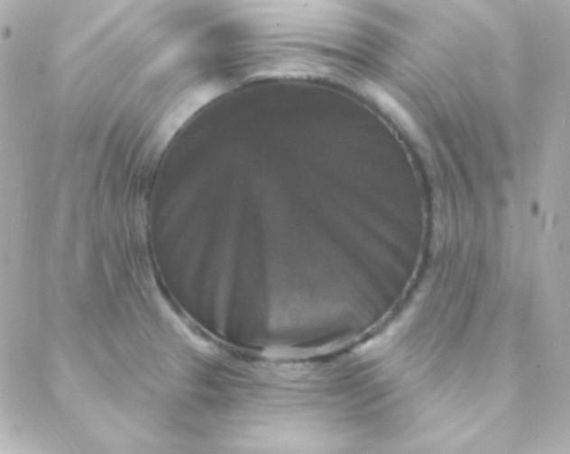 X0000088141329200705291348