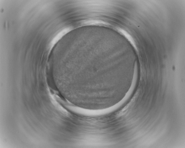 X0000088141330200705291348
