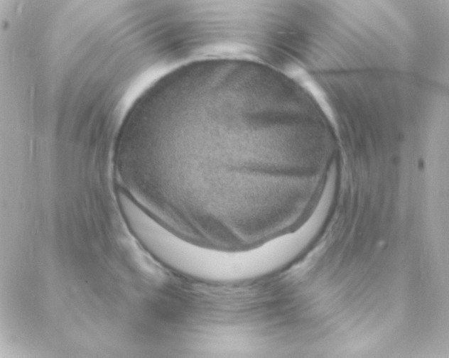 X0000088141336200705291348