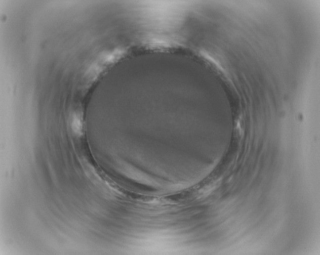 X0000088141348200705291347