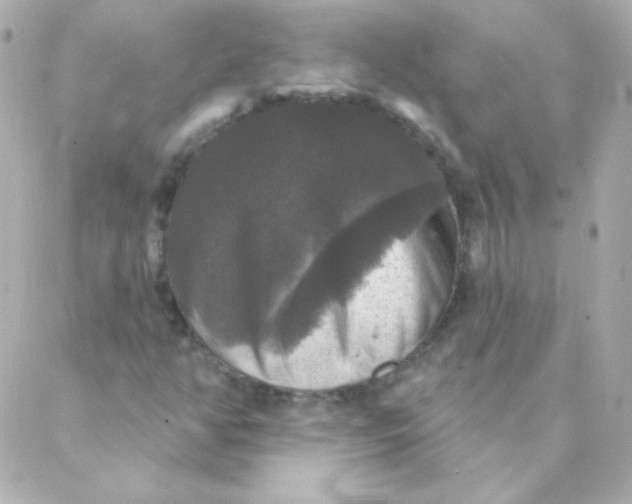 X0000088141350200705291347